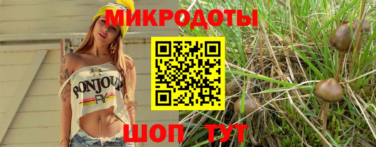 Псилоцибиновые грибы Psilocybe  Псилоцибиновые грибы Magic Shrooms  Кинель  Вход с VPN 